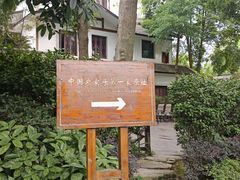 -郫都区农科村景区