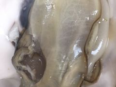 清蒸生蚝-叶存利海鲜大馅饺子(东戴河止锚湾店)