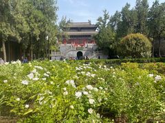 -洛阳白马寺