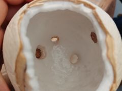 -三亚新鸿港水果一级批发市场