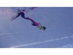 -上海潜殿潜水中心