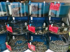 水产区-聚德福海鲜家常菜(刘庄店)