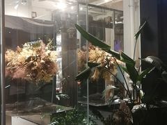 -植物学家的女儿(北马道巷店)