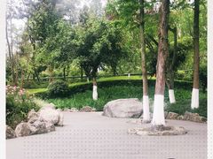 -成飞公园