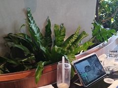 -gaga(北京新中关购物中心店)