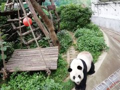 -柳州市动物园