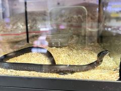 -三旗百汇商品城