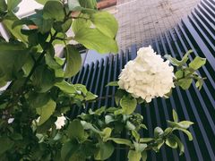 -ELUNE艾露恩·人良斋西餐厅