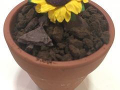-树心旁千层蛋糕(国瑞购物中心店)