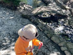 -燕塞湖鸟语林景区