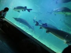 -华夏文旅西安度假区