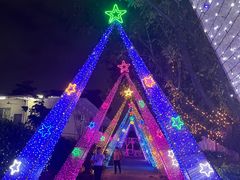 -光明农场大观园