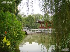 DSC00046-申粤轩酒楼·三十年粤菜经典(丁香花园店)