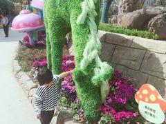 -苏州乐园森林水世界