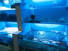 水产区-老虎滩大连海鲜烧烤(建邺云锦路总店)