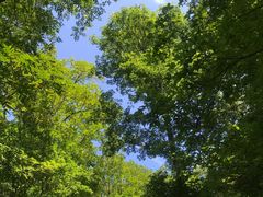 -天女山森林公园