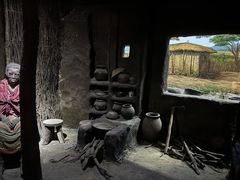 -国家自然博物馆