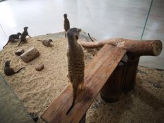 -海合安武汉极地海洋公园