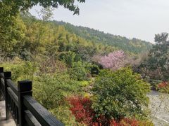 -九龙潭景区