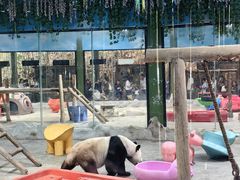 -栾川竹海野生动物园