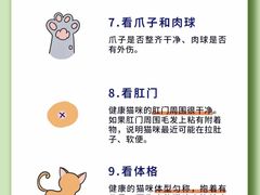 -翊宠yipet猫狗购宠庄园犬舍•猫舍