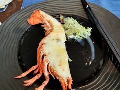 -Social 秀西餐厅-长沙瑞吉酒店(运达店)