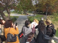 -月湖风景区
