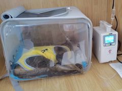 -美联众合动物医院·24h京西诊疗中心