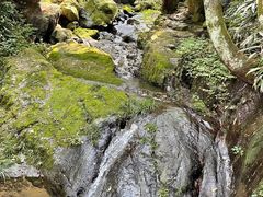 -藏龙百瀑风景区