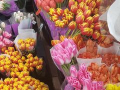 -循礼门鲜花花市(武汉循礼门店)