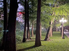 -荔枝公园(福田区)