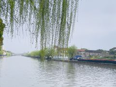 -高东镇樱花园