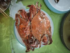 -沿海渔家院海鲜饺子·东北菜(止锚湾店)