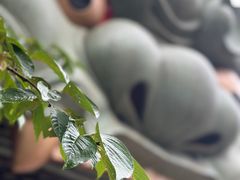 -难波八坂神社