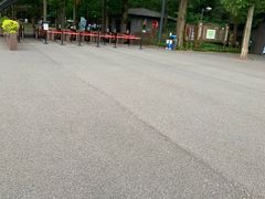 -东平国家森林公园