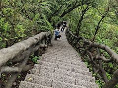 -梧桐山风景名胜区