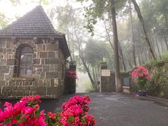 -莫干山风景区