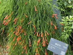 -国家植物园南园