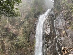 -姑婆山旅游区