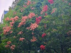 -杭州城北体育公园