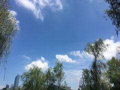 -月湖风景区