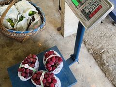 -马陆小张葡萄园农家乐