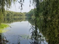 -东坝千亩湖公园