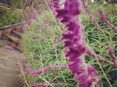 iphone_upload_pic-华侨城阳宗海海景温泉