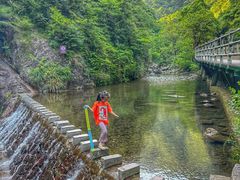 -宁波五龙潭景区