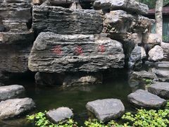 -尚庄度假村·庭台树下·户外烧烤·团建CS·轰趴营地(上庄水库店)