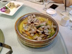 -四季春