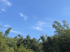 -望江楼公园