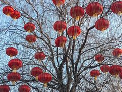 -八大处公园