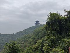 -杭州半山国家森林公园